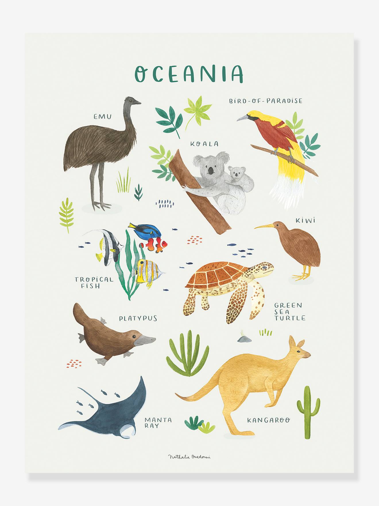 Affiche Animaux d'Océanie Living Earth LILIPINSO marron