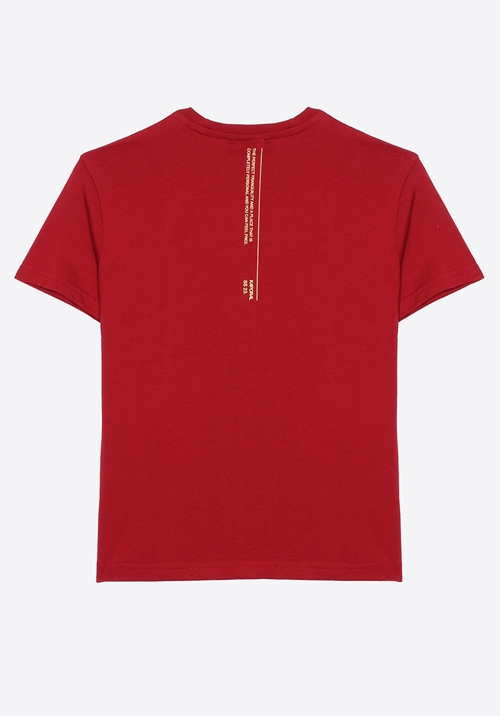 PIRGO  T-shirt rouge Garçon en 100% coton