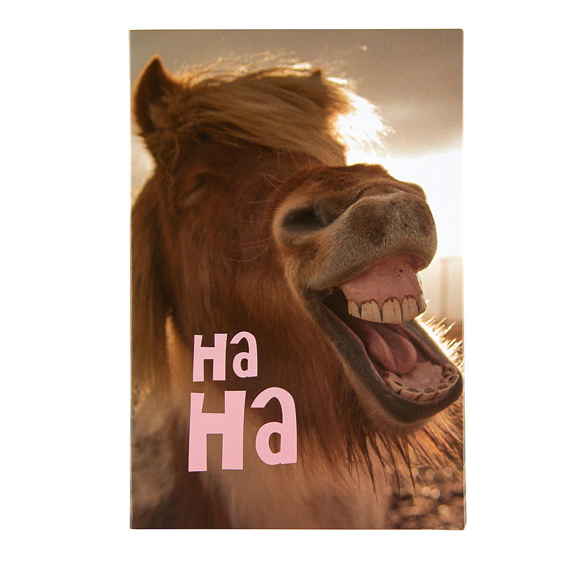 Kort leende esel