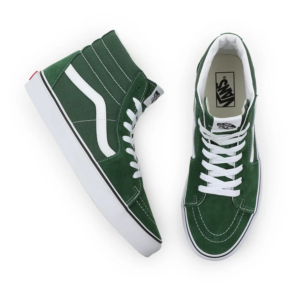 Vans UA SK8 Hi Color Theory VN0005U96QU / grün