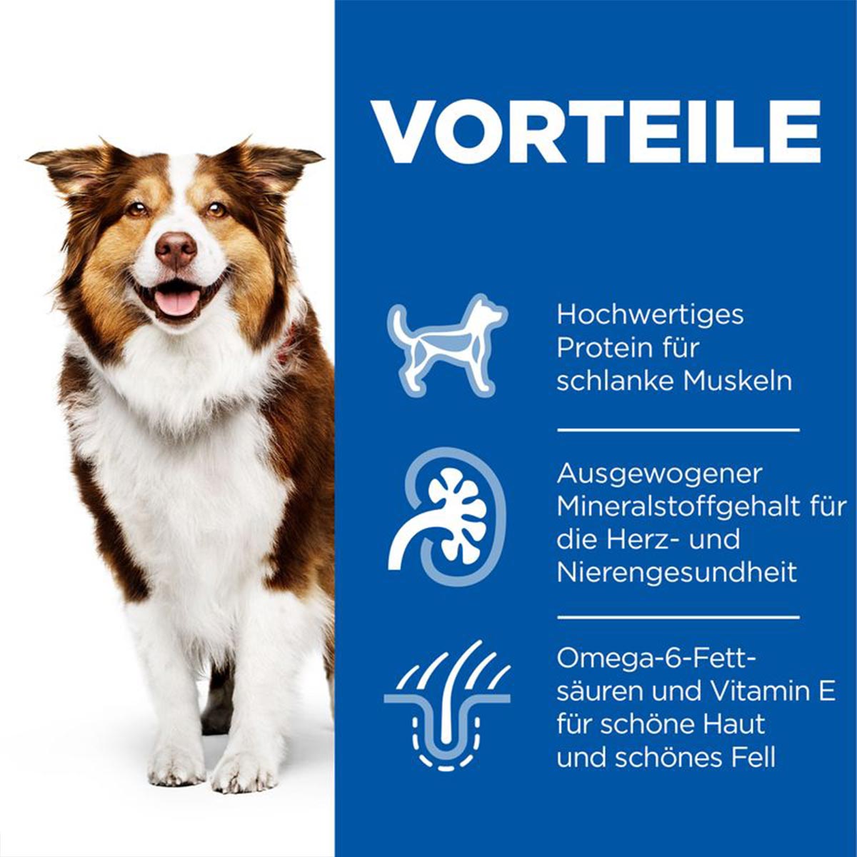 Hill's Science Plan Hund Medium Mature Adult 7+ Huhn 14kg