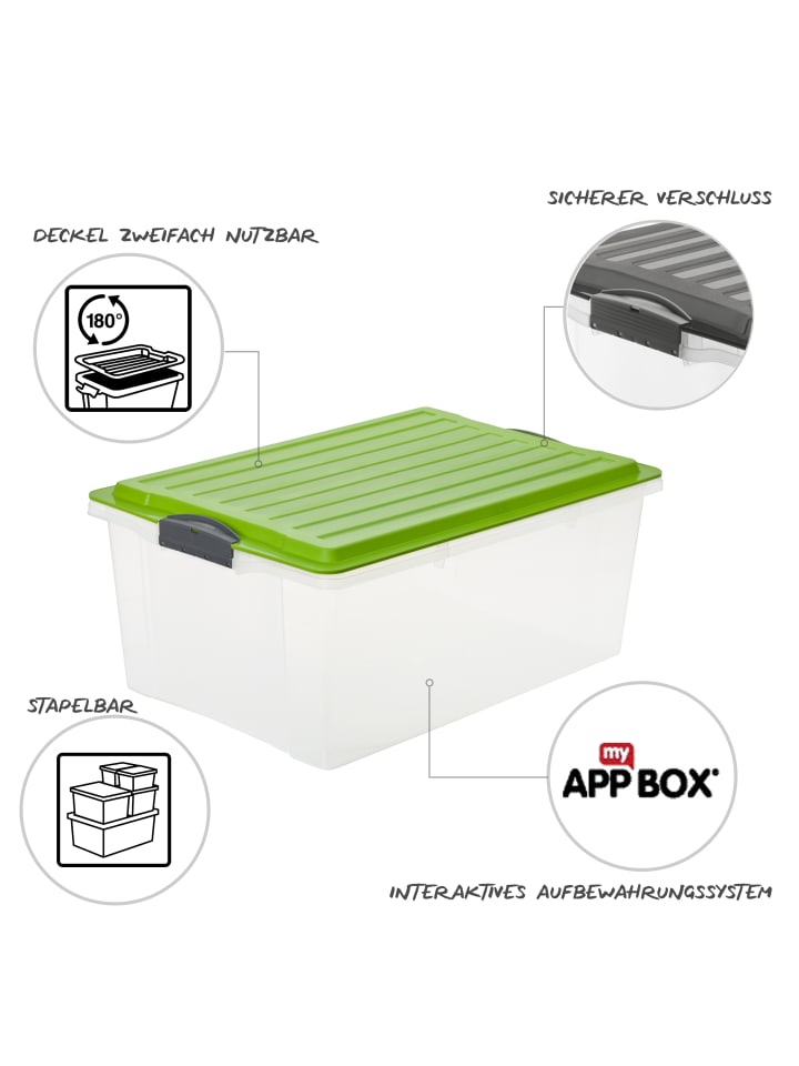 Rotho Compact 3er-Set Aufbewahrungsbox 38l mit Deckel in Grün günstig kaufen onesize