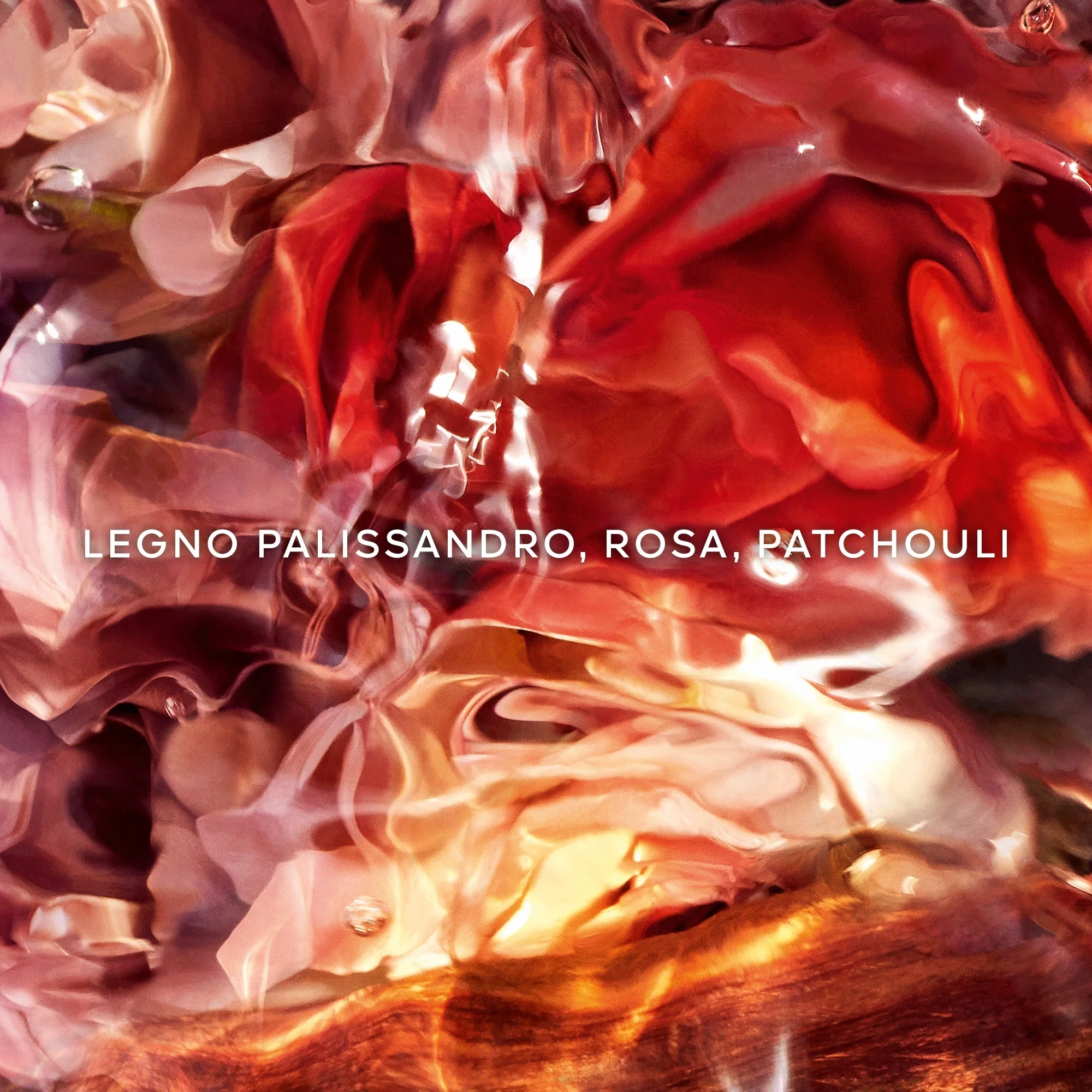 Aqua Allegoria Rosewood Forte - parfemska voda