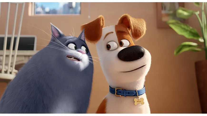 Pets (Illumination)