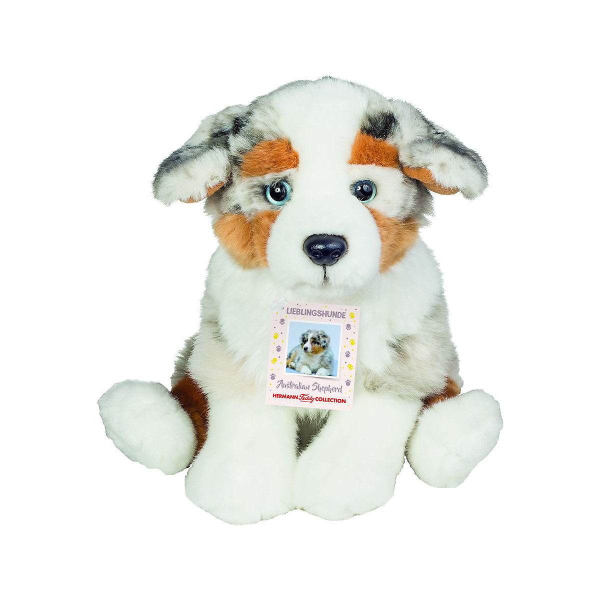 Australian Shepherd Welpe sitzend 22 cm