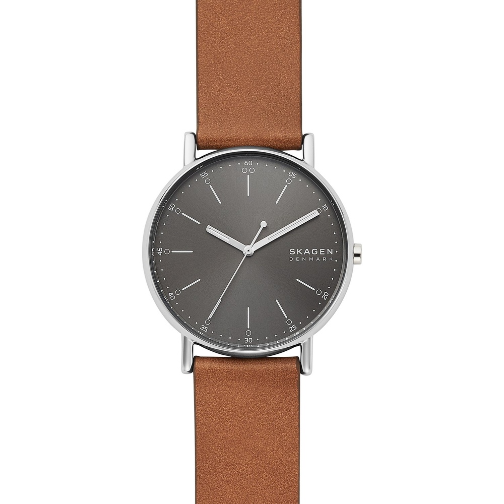 Skagen Montre pour hommes Acier inoxydable Montre
