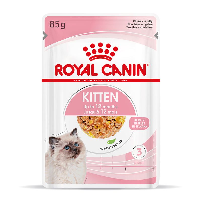 Royal Canin Kitten in Gelee zu TOP-Preisen