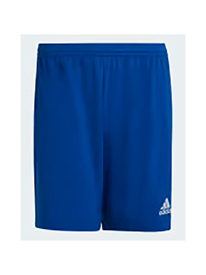 adidas Shorts in Blau günstig kaufen