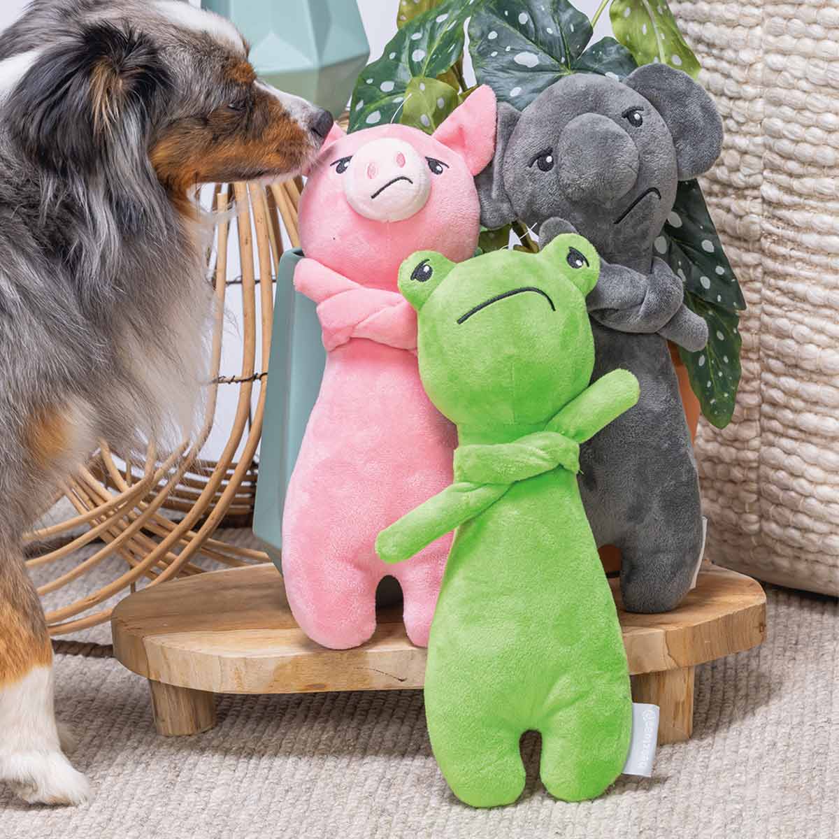 Beeztees Hundespielzeug Grumpy Koala günstig kaufen bei ZooRoyal