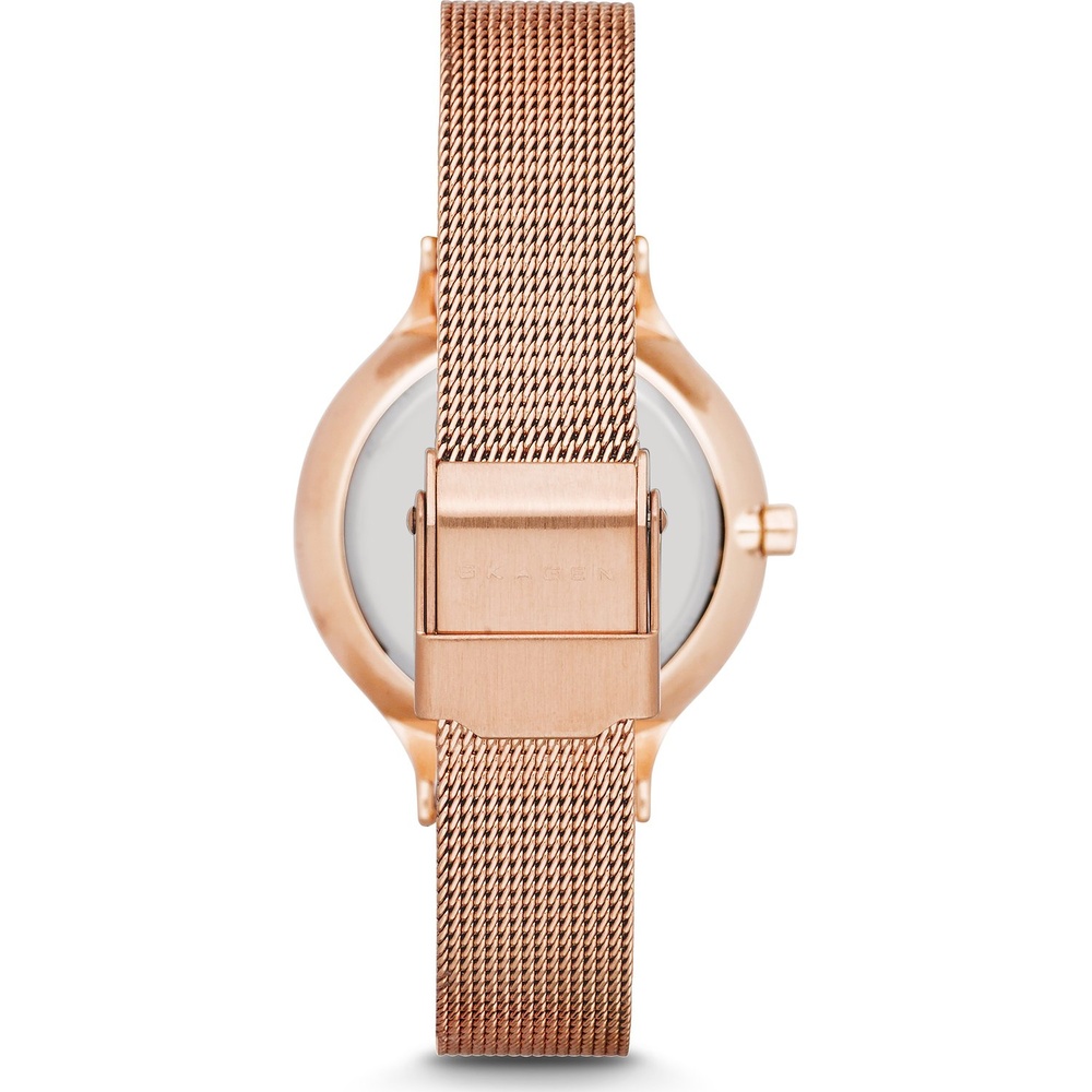 Skagen Montre pour femme Acier inoxydable Montre