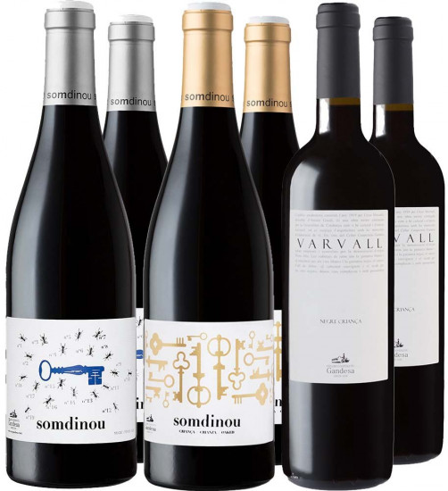 Cooperativa de Gandesa Rotwein Kennenlern-Paket - Cooperativa de Gandesa