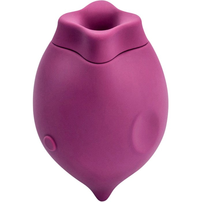 Suction Vibrator