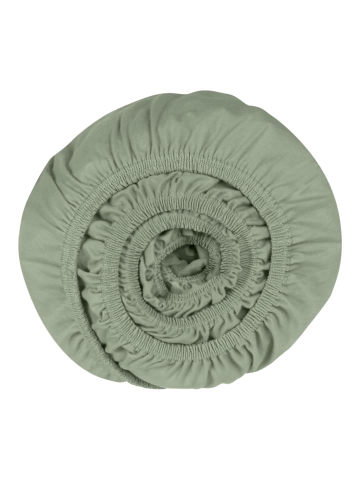Schiesser Jersey Elasthan Spannbettlaken Elli in Hellgrün günstig kaufen