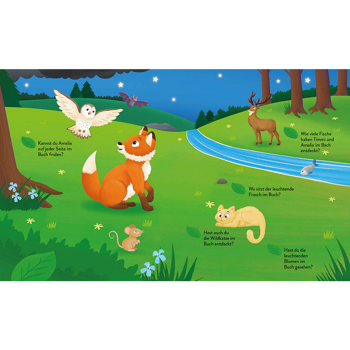 Mit Timmi Fuchs bei Nacht im Wald (Mit UV-Licht-Taschenlampe)