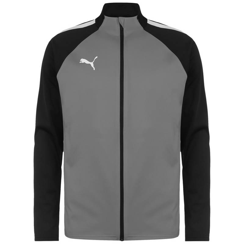 PUMA TeamLIGA Trainingsjacke Herren