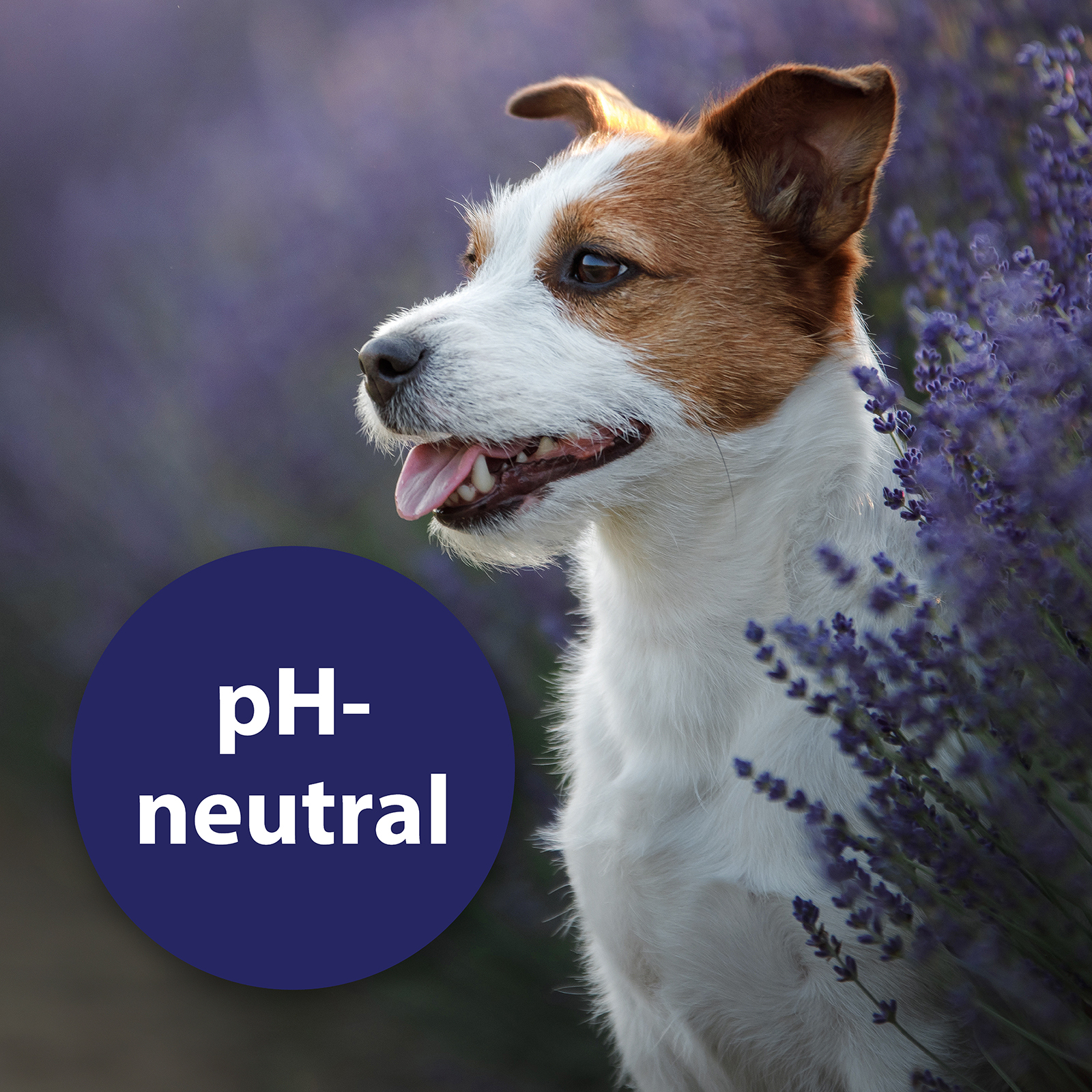Canosept Augen- & Ohrenpflege Canosept Augenpflege für Hunde 120 ml