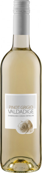 2023 Pinot Grigio Valdadige DOC - Cantina Valdadige