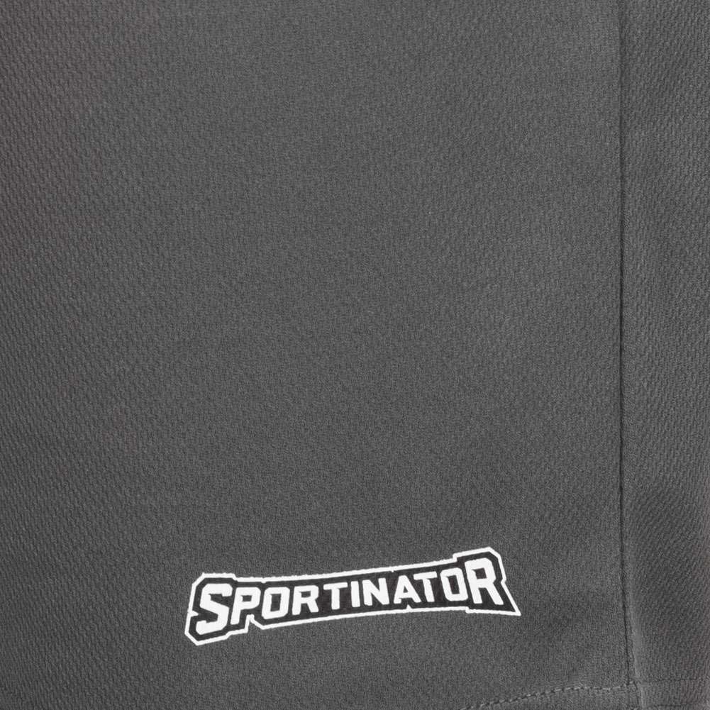 SPORTINATOR Essentials Herren Training Shorts grau