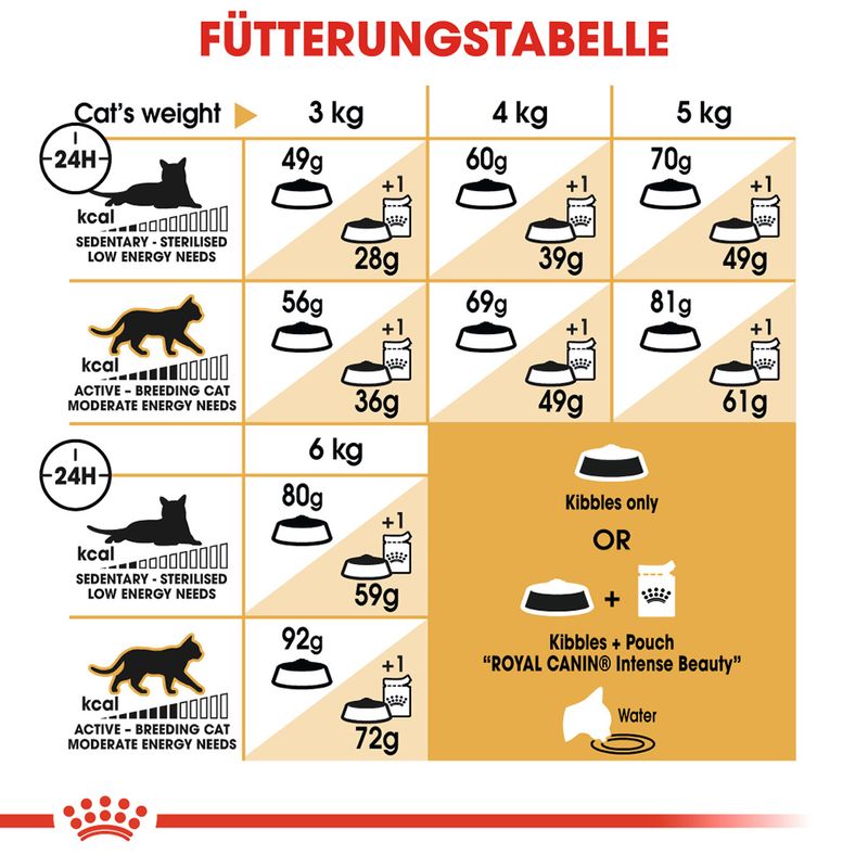 Royal Canin Sphynx Adult zu TOP-Preisen