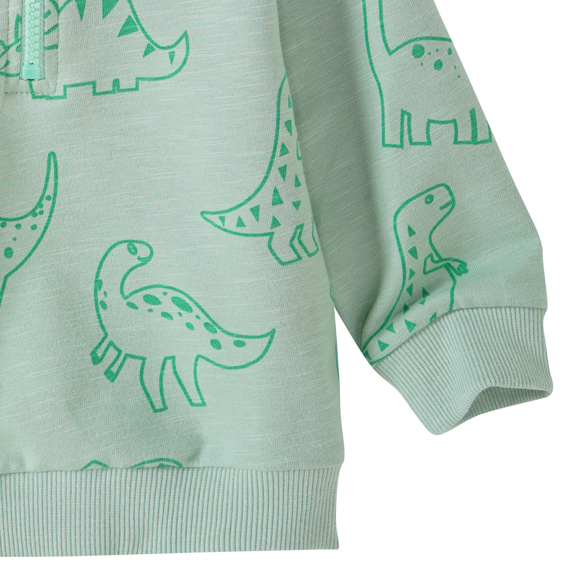 Baby Hoodie mit Dino-Prints