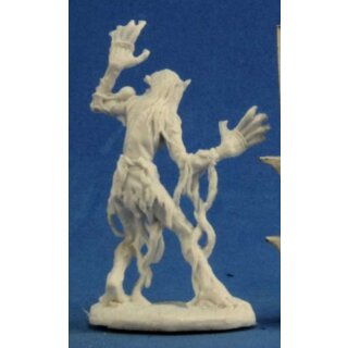Sea Hag