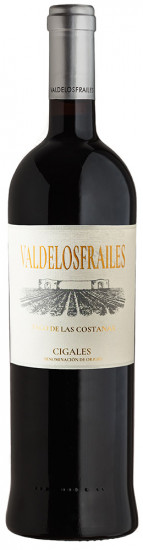 2006 Pago de Las Costanas Cigales DO trocken - Bodega Valdelosfrailes