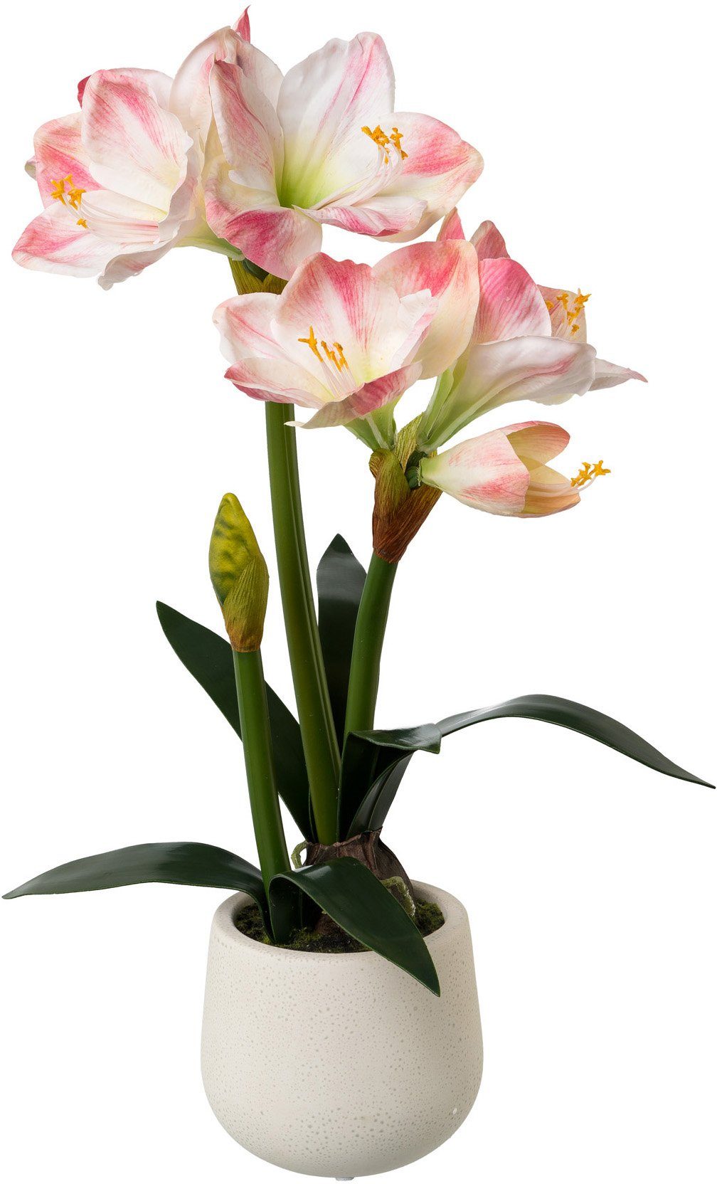 Winterliche Kunstpflanze Weihnachtsdeko Amaryllis, Creativ green, Höhe 60 cm, Real-Toch-Blüten, Pflanze im Keramiktopf