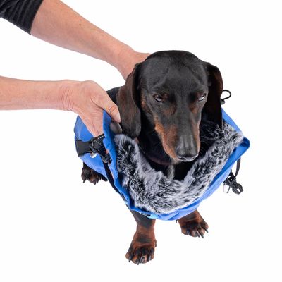 TIAKI Hundemantel mit Geschirr Arkon, blau
