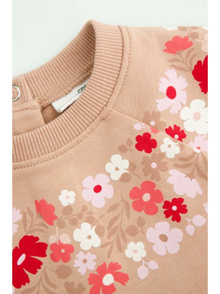 Coccodrillo Sweatshirt in beige günstig kaufen