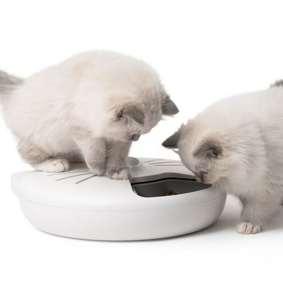 Catit Pixi Smart 6-Meal Futterautomat