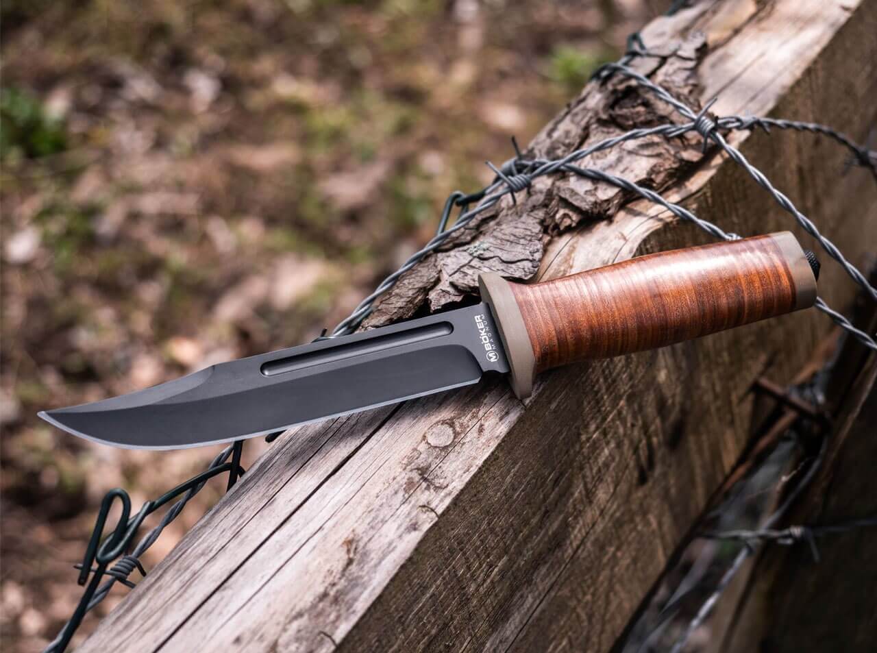 Ranger Field Bowie