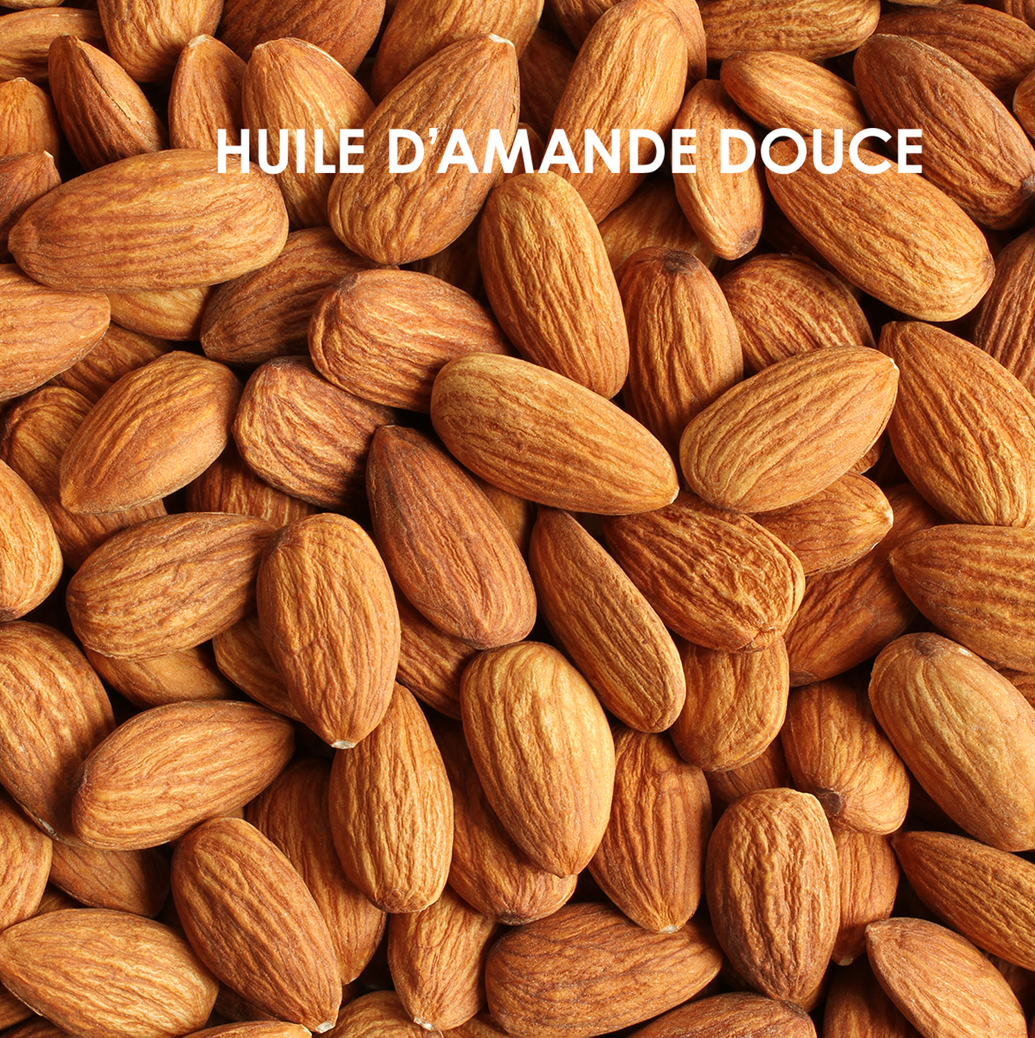 WeDo Baume Protecteur Vegan Cheveux et Lèvres 25g