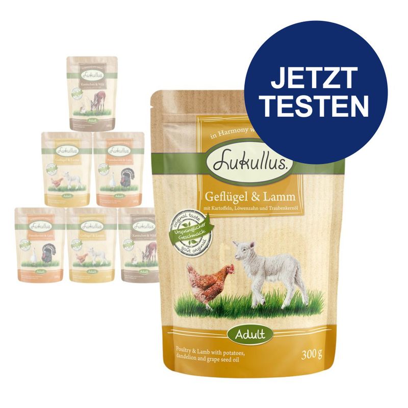 Probierpaket Lukullus Frischebeutel 6 x 300 g
