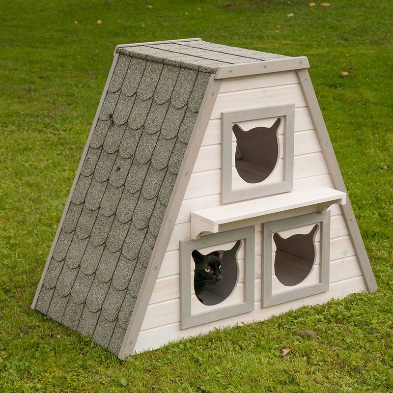 Katzenhaus Madeira zu TOP-Preisen