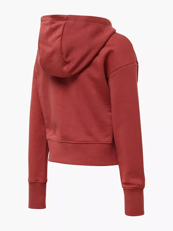 Nike Crop Hoodie