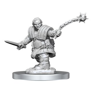 D&D Nolzur's Marvelous Miniatures Miniatur unbemalt Dwarf Fighter Female (2)