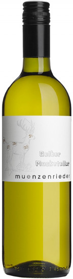 2022 Gelber Muskateller trocken - Weingut Münzenrieder
