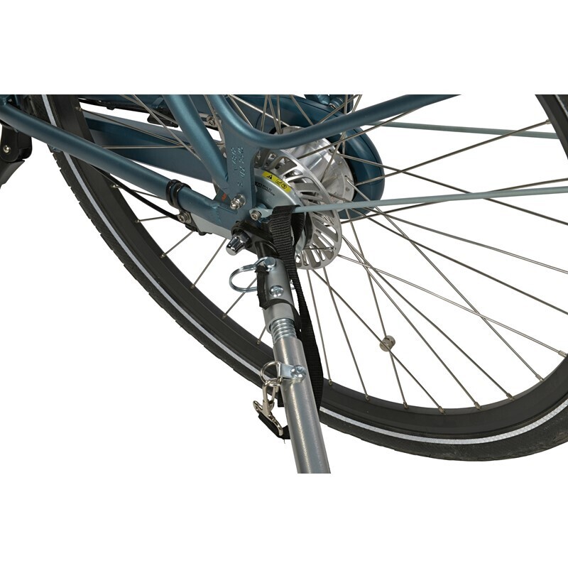 AniOne Fahrradzubehör AniOne Fahrradanhänger