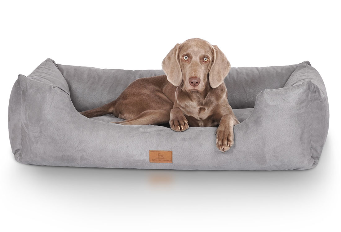 Knuffelwuff Hundebetten Knuffelwuff Hundebett Dreamline aus Velours grau XXXL