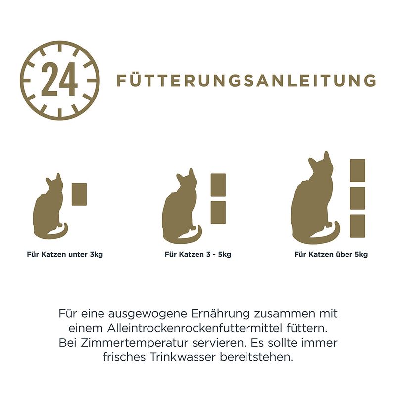 Sparpaket Encore Cat Pouch 48 x 70 g zu TOP-Preisen