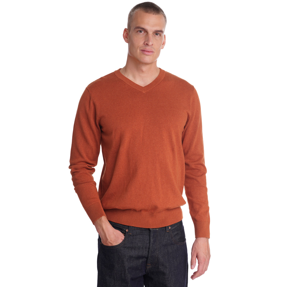Herren Feinstrickpullover mit V-Ausschnitt
