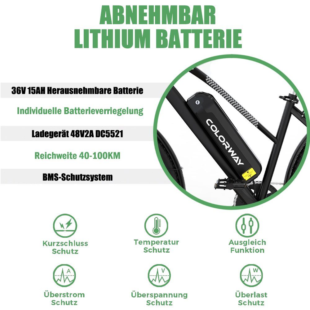 RCB E-Bike COLORWAY 28 ZOLL, 7 Gang, 250W Heckmotor, MTB abnehmbarer Akku, Doppelscheibenbremse, Shimano 7Gang StVZO