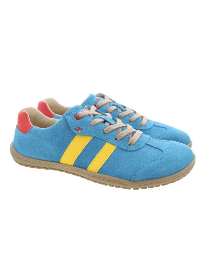 KOEL Damen- Schnürschuhe  in Blau günstig kaufen