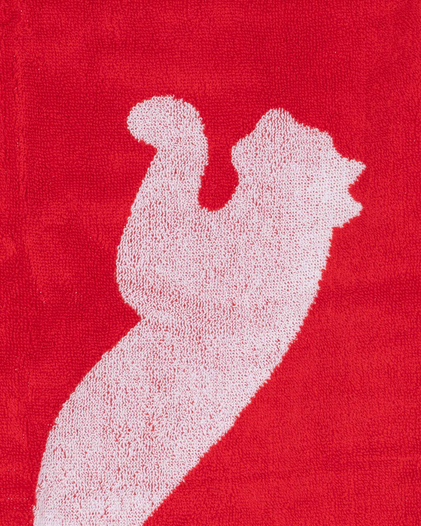 Akcesoria tenisowe Puma Team 054553-02