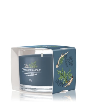 Yankee Candle Bayside Cedar Filled Votive Duftkerze-37 g