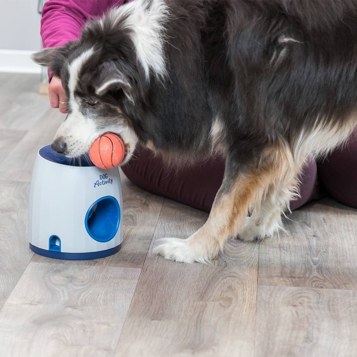 Trixie Dog Activity Strategie-Spiel Ball & Treat bei ZooRoyal