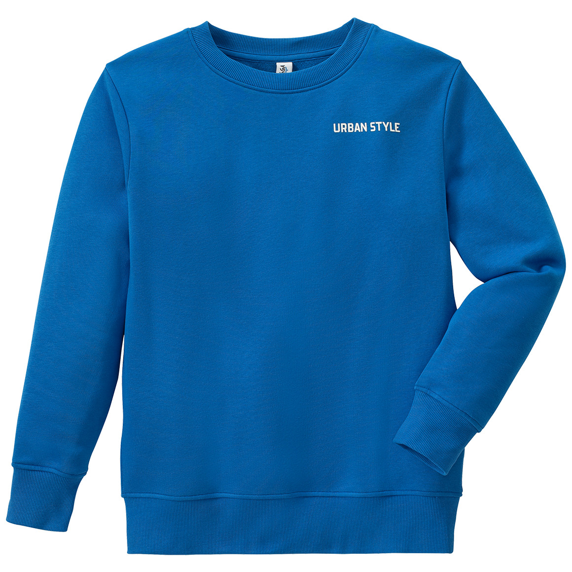 Jungen Sweatshirt mit kleinem Print