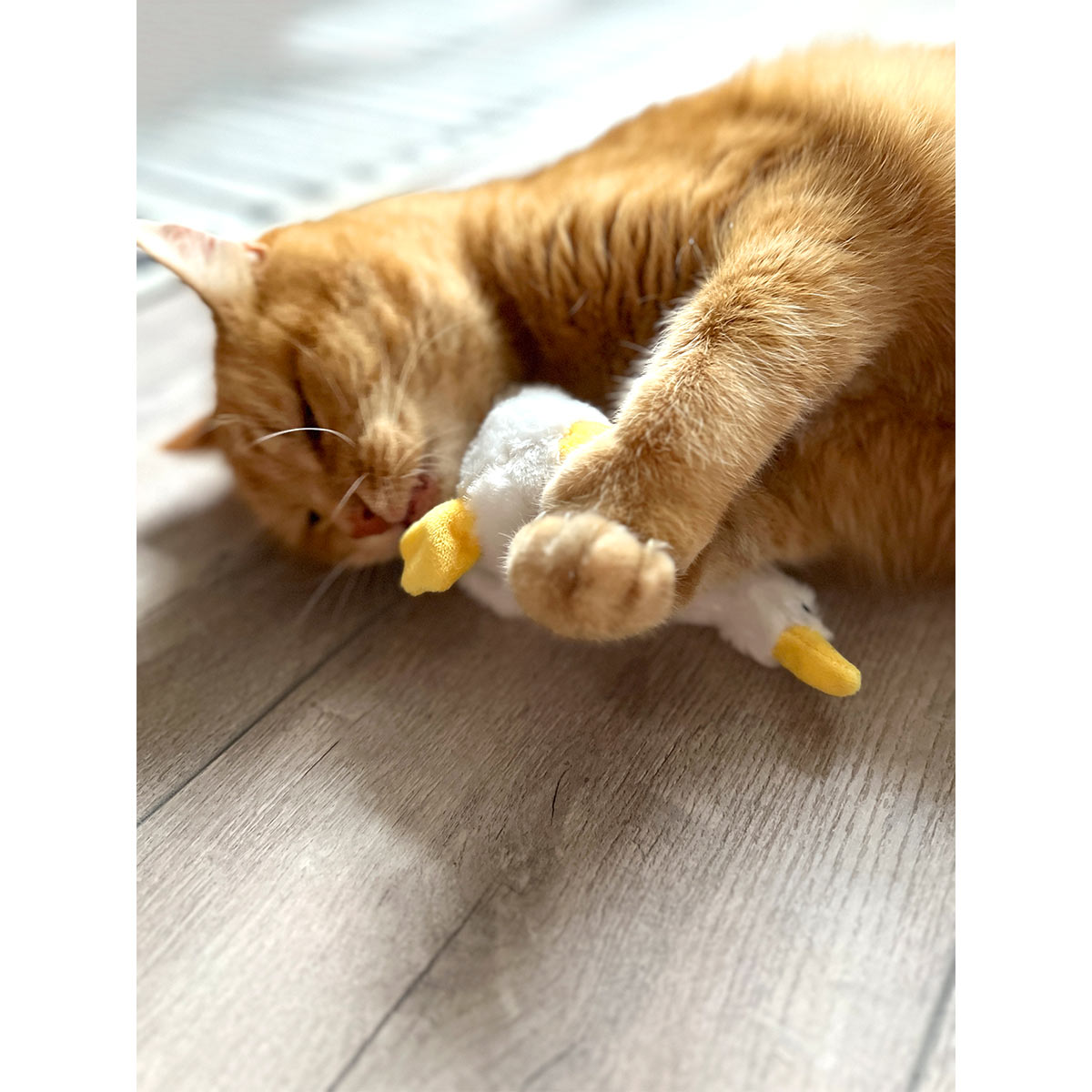 Aumüller Katzenspielkissen Gilbert Gans kaufen