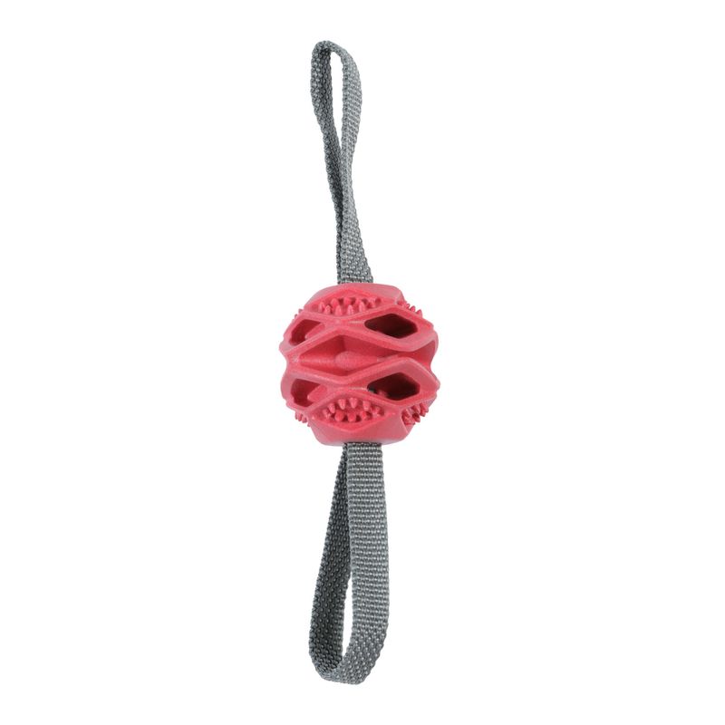 Zolux Outdoor-Ball Terra zu TOP-Preisen