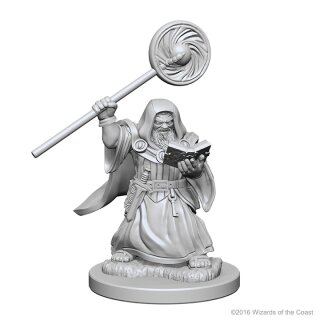 Dwarf Male Wizard: D&D Nolzurs Marvelous Unpainted Minis